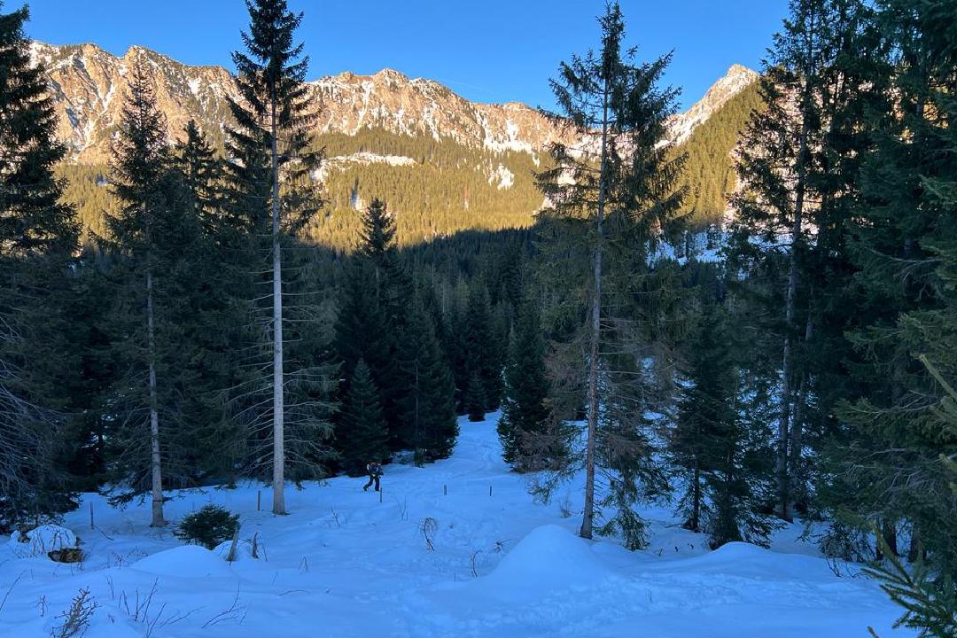 Von der Piste runter ins Wäldchen