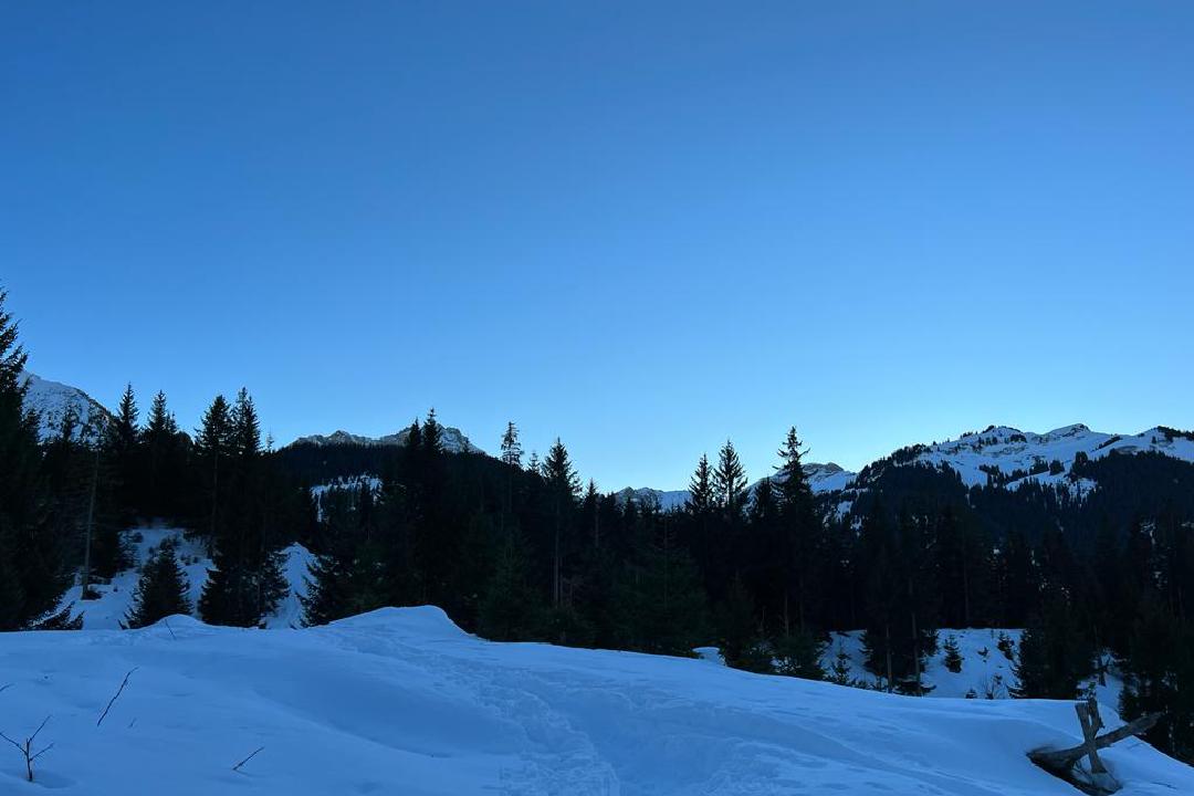 Eine Spur im Tiefschnee